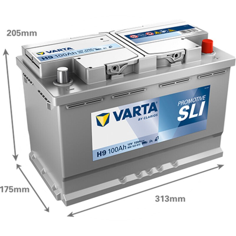 VARTA Starterbatterie 12V / 100Ah – 313 mm
