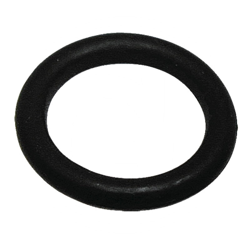 ARAG O-Ring D1 (mm) 12