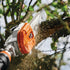 Stihl Akku Hochentaster HTA 135 ohne Akku und Ladegerät Stihl