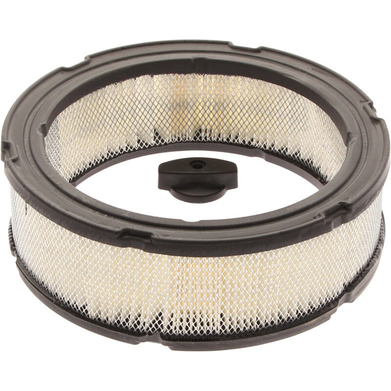 BRIGGS & STRATTON Luftfilter Inhalt 1x 394018S