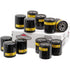 BRIGGS & STRATTON VPE12 Ölfilter Inhalt 12x 491056