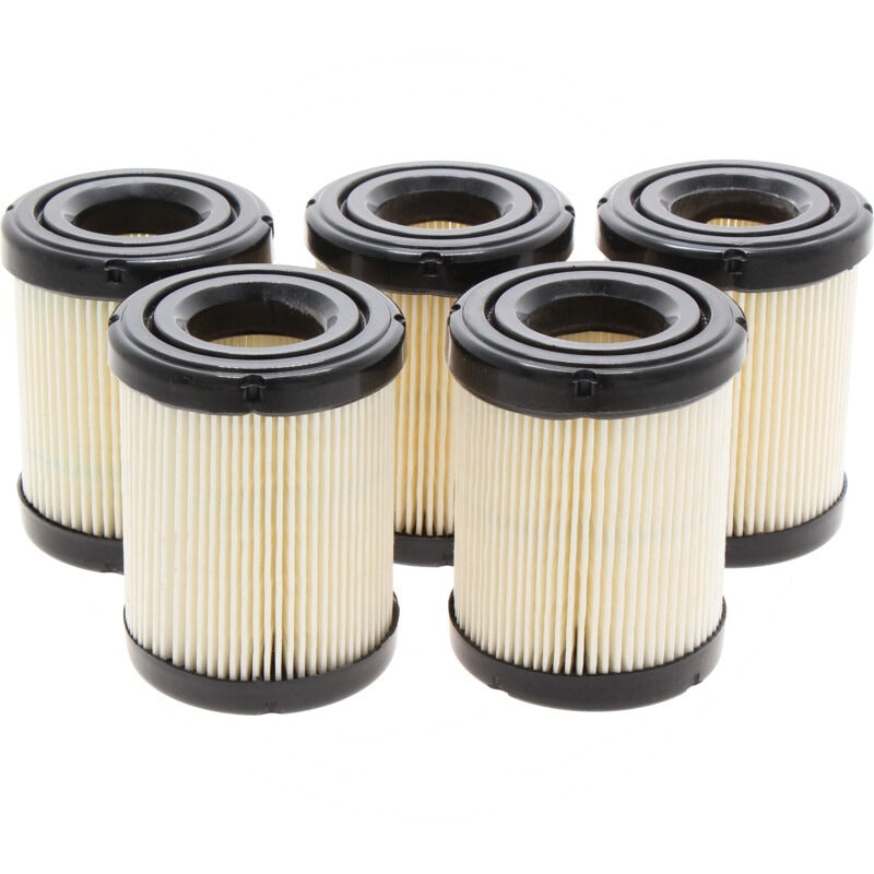 BRIGGS & STRATTON VPE5 Luftfilter – Bild 3