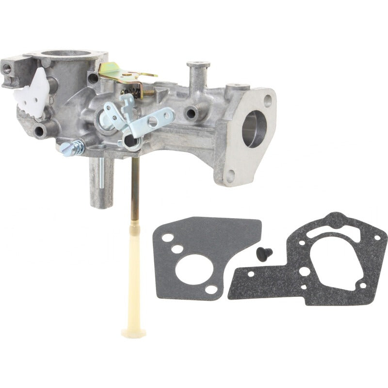 BRIGGS & STRATTON Vergaser – 715495459 BRIGGS & STRATTON