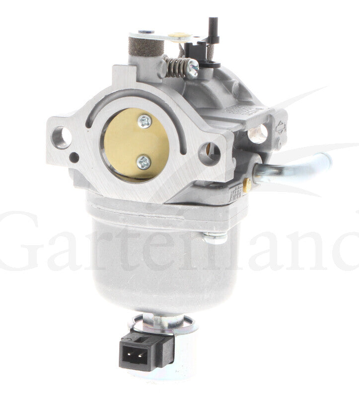 BRIGGS & STRATTON Vergaser – 715590400 BRIGGS & STRATTON