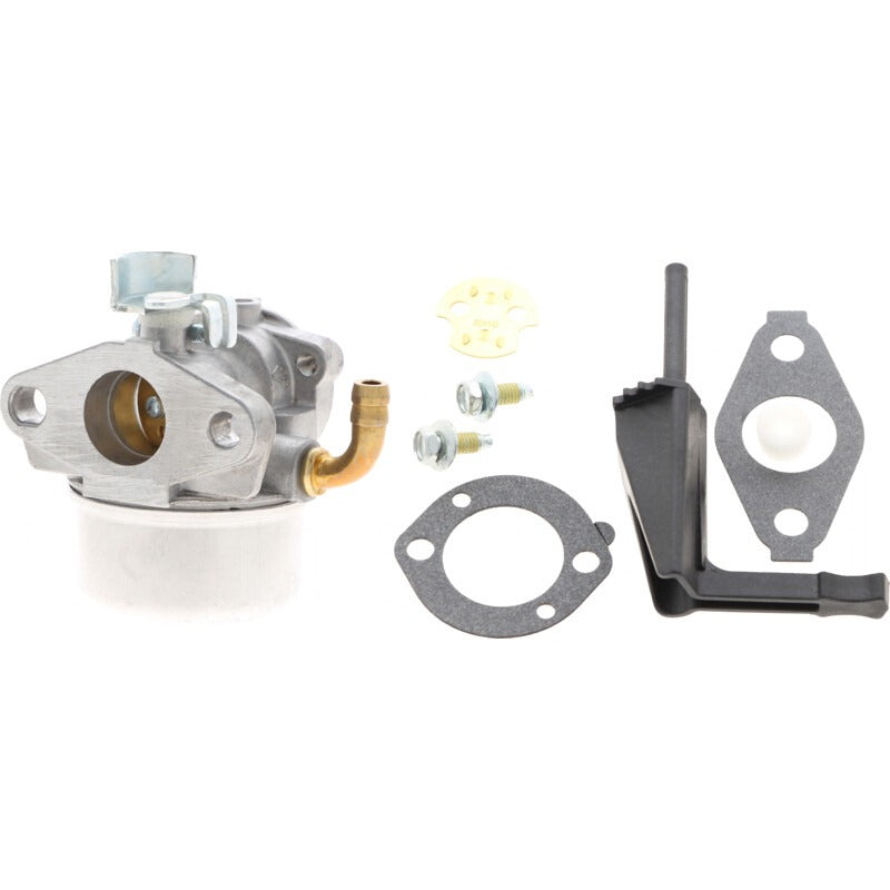 BRIGGS & STRATTON Vergaser – 715591299 BRIGGS & STRATTON