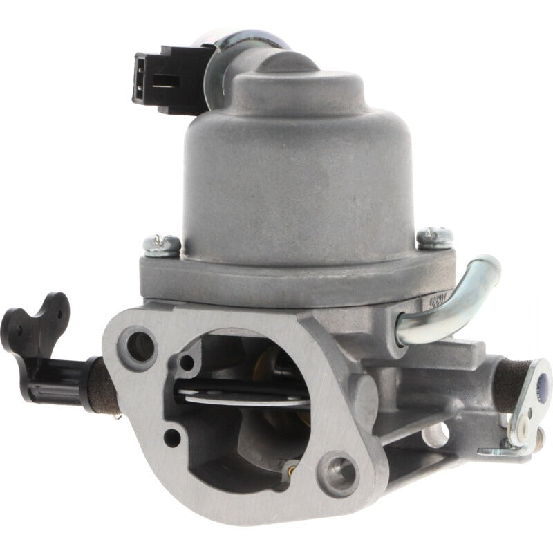 BRIGGS & STRATTON Vergaser – 715594207 BRIGGS & STRATTON
