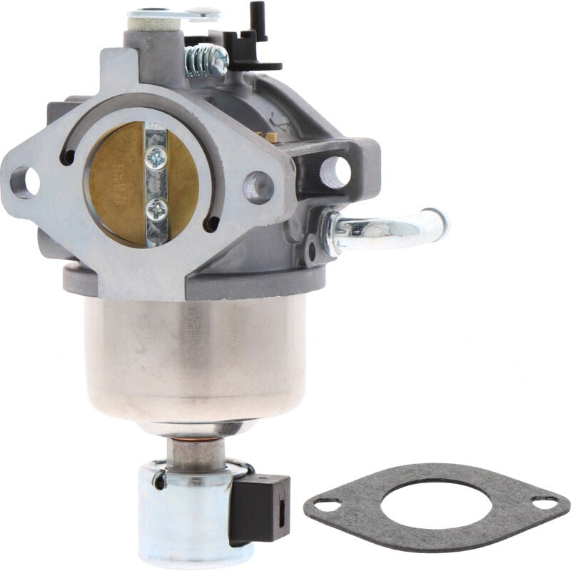 BRIGGS & STRATTON Vergaser – 715594593 BRIGGS & STRATTON