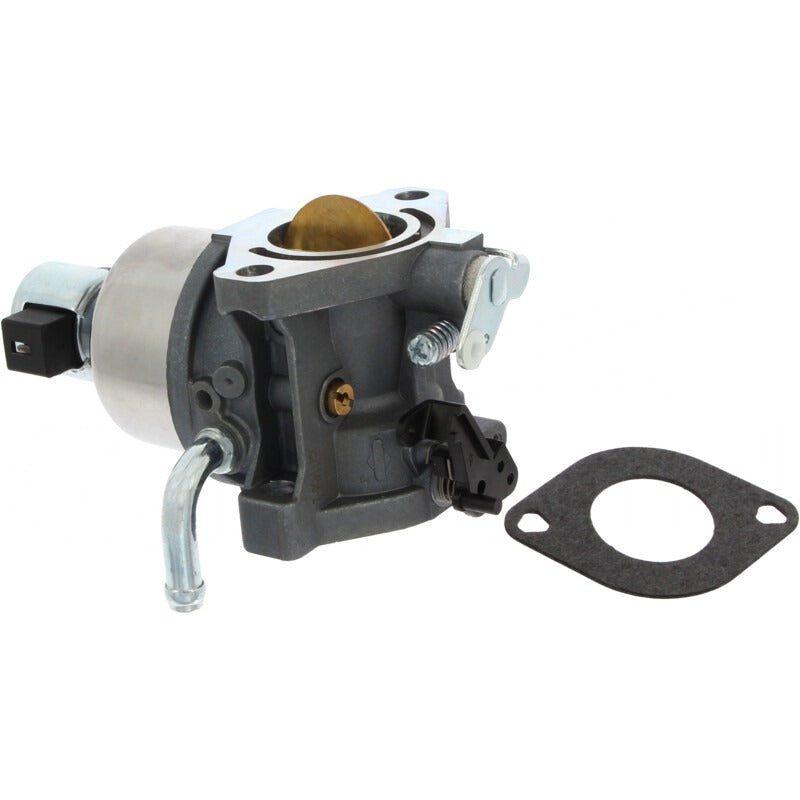 BRIGGS & STRATTON Vergaser – 715594605 BRIGGS & STRATTON
