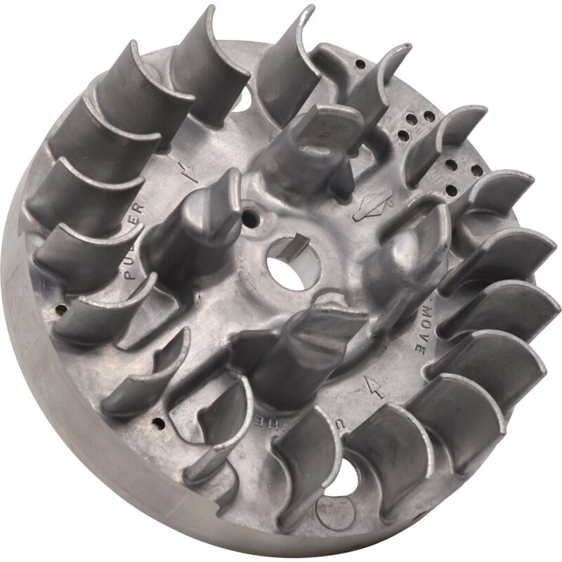 BRIGGS & STRATTON Schwungrad – 715595414 BRIGGS & STRATTON