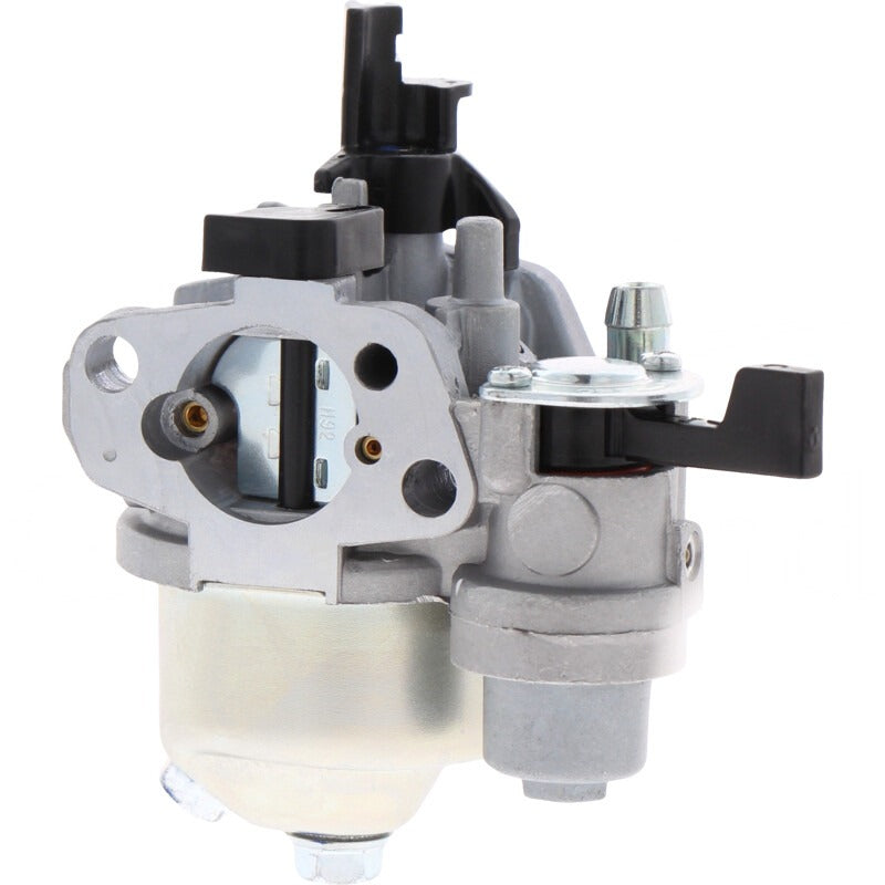 BRIGGS & STRATTON Vergaser – 715596079 BRIGGS & STRATTON