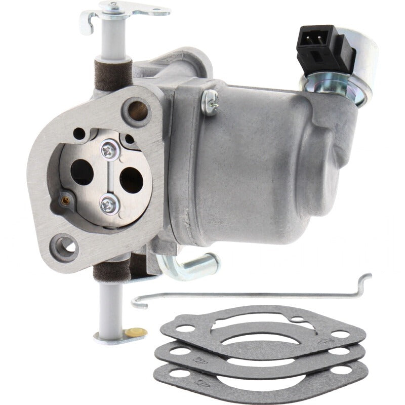 BRIGGS & STRATTON Vergaser – 715597128 BRIGGS & STRATTON