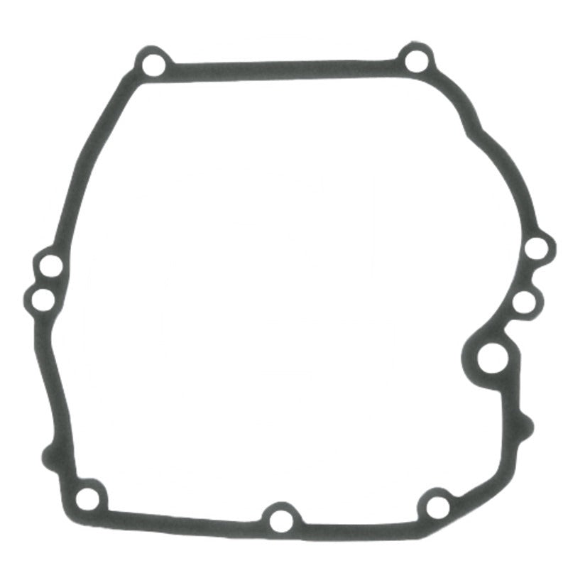 BRIGGS & STRATTON Ölwannendichtung