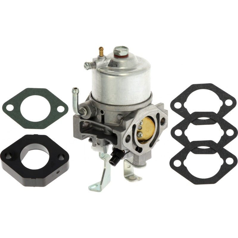 BRIGGS & STRATTON Vergaser – 715715672 BRIGGS & STRATTON