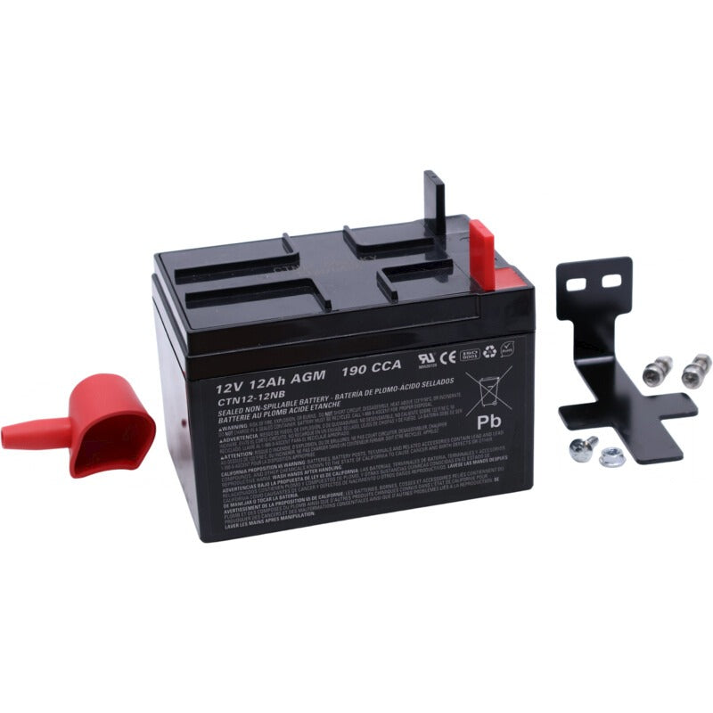 BRIGGS & STRATTON Satz, Batterie, Sealed – 7157600188YP BRIGGS & STRATTON