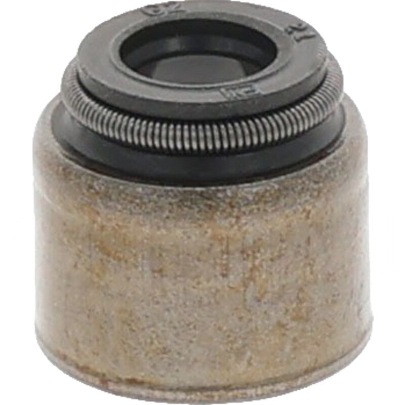 BRIGGS & STRATTON Ventilschaftabdichtung – 715794086 BRIGGS & STRATTON