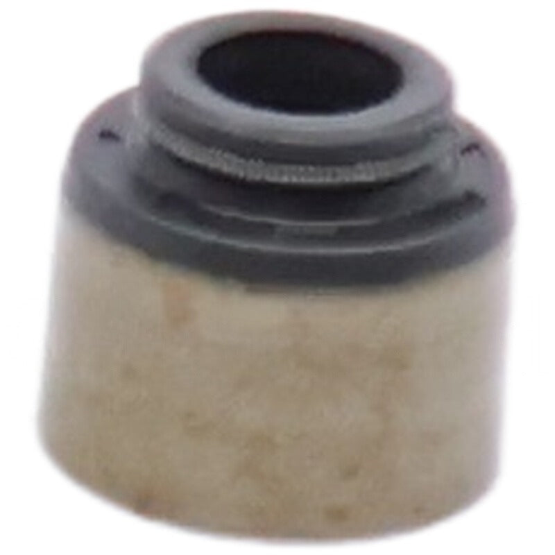 BRIGGS & STRATTON Ventilschaftabd. – 715795440 BRIGGS & STRATTON