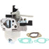 BRIGGS & STRATTON Vergaser – 715797283 BRIGGS & STRATTON