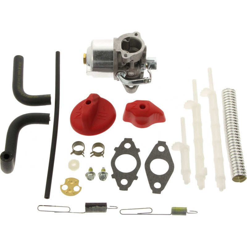 BRIGGS & STRATTON Vergaser – 715798917 BRIGGS & STRATTON