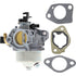BRIGGS & STRATTON Vergaser – 715799882 BRIGGS & STRATTON