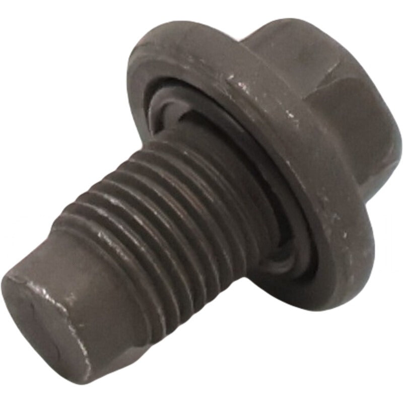 BRIGGS & STRATTON Stecker-Öl Ablass – 715807392 BRIGGS & STRATTON