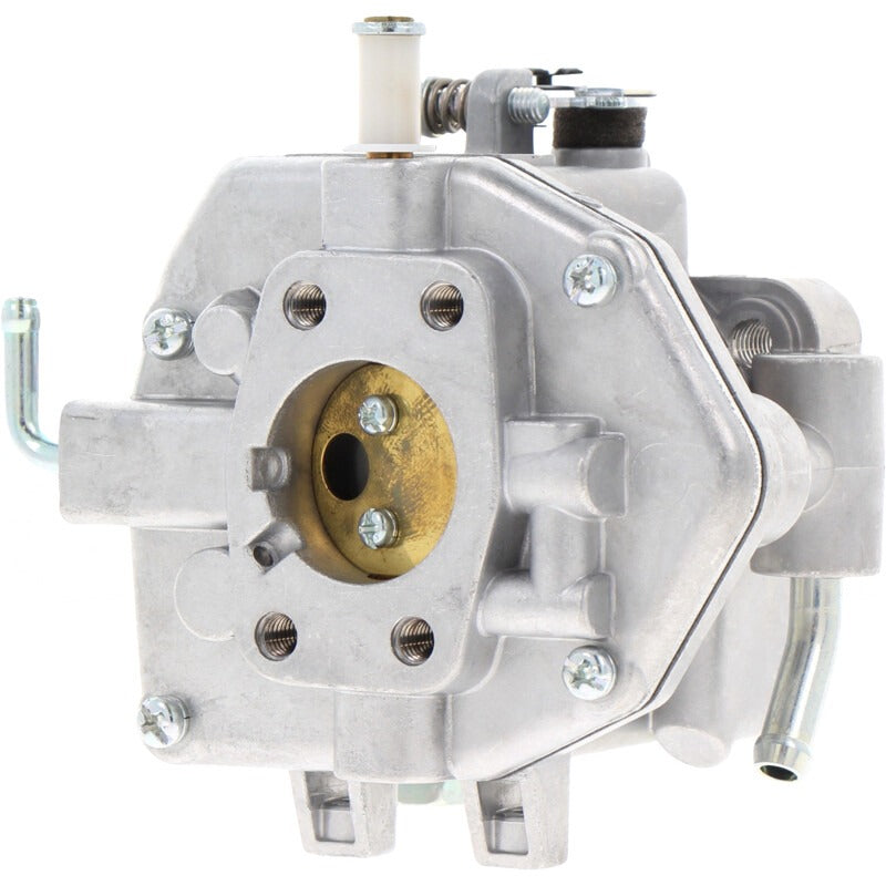 BRIGGS & STRATTON Vergaser – 715809008 BRIGGS & STRATTON