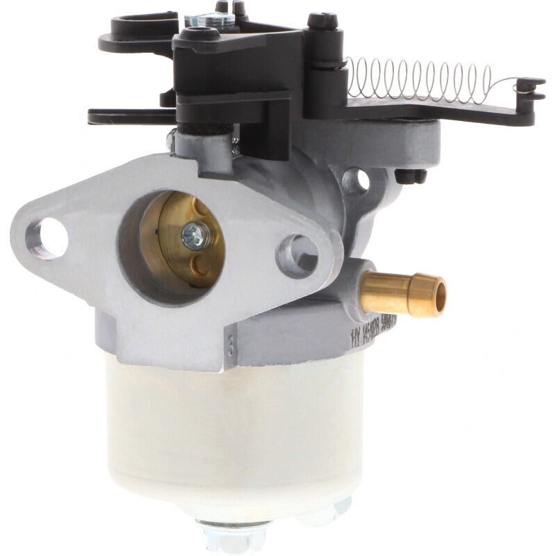 BRIGGS & STRATTON Vergaser passend für 090600, 100600, 100800 u. a.