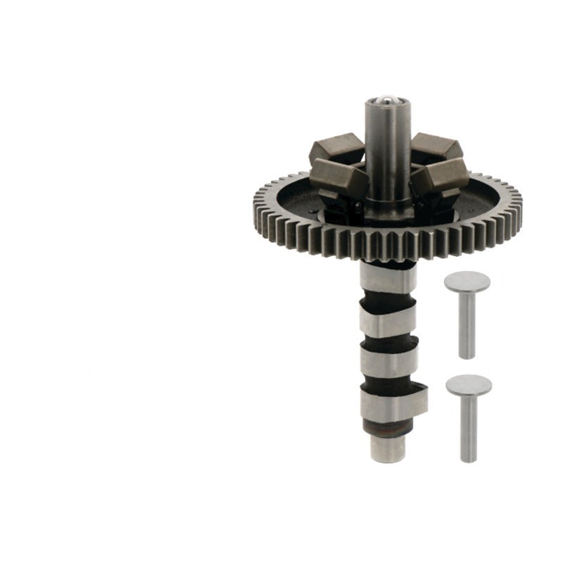 BRIGGS & STRATTON Nockenwelle passend für 290400, 290700, 294400 u. a.
