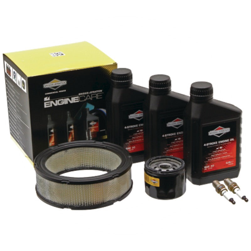 BRIGGS & STRATTON Wartungs-Kit Inhalt 3x 100005E Motoröl SAE30 0,6 Lite