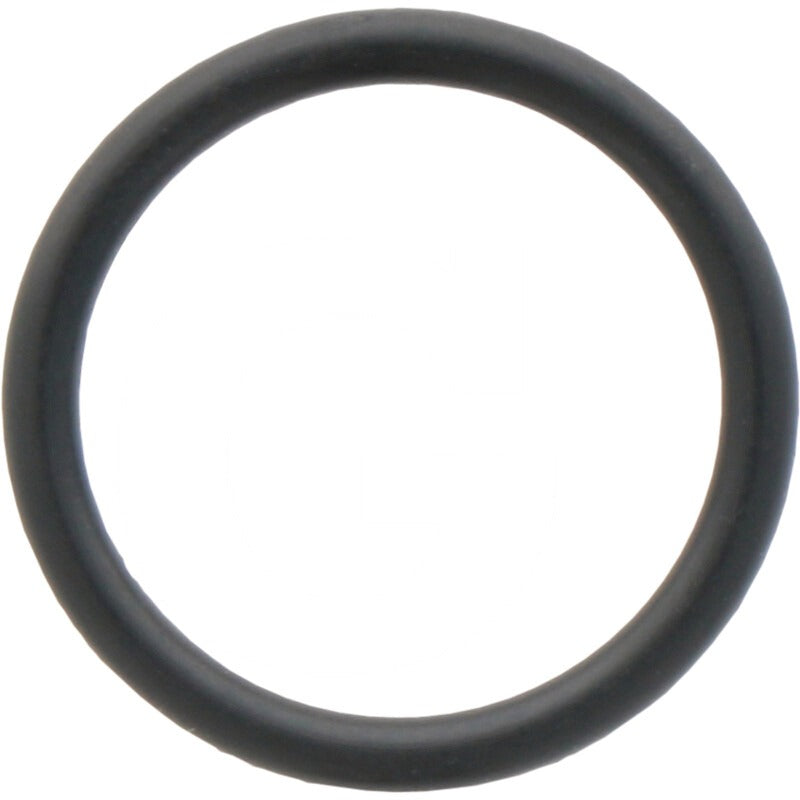 GRANIT O-Ring – 98458442