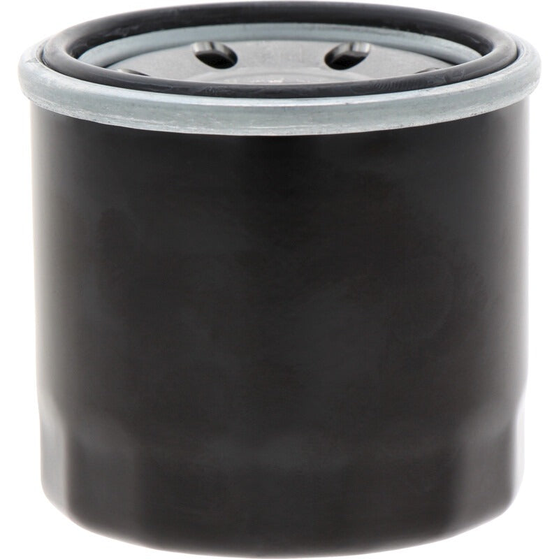 STIGA Motorölfilter passend für ST 550 Twin, ST 600 Twin, ST 650 Twin u. a.