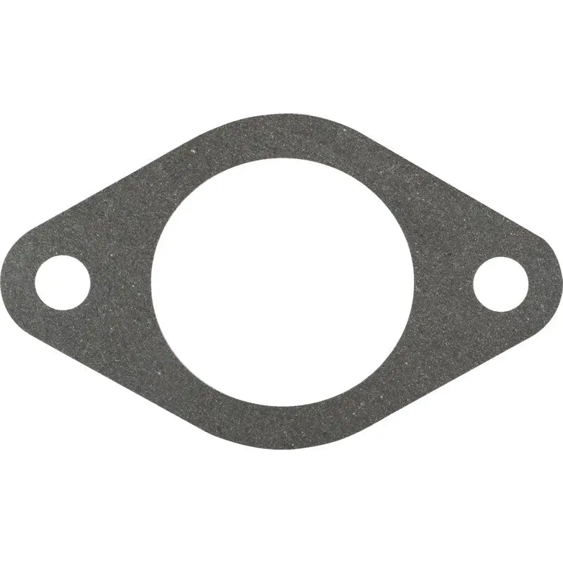 Briggs und Stratton Dichtung 272569S Briggs und Stratton