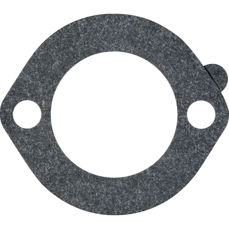 Briggs und Stratton Dichtung 272948S Briggs und Stratton