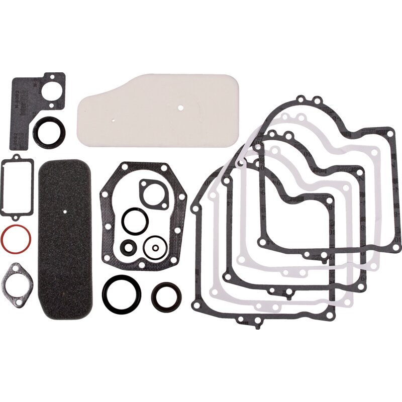 Dichtungssatz Briggs und Stratton 393411 – Original-Ersatzteil für Briggs und Stratton Motoren