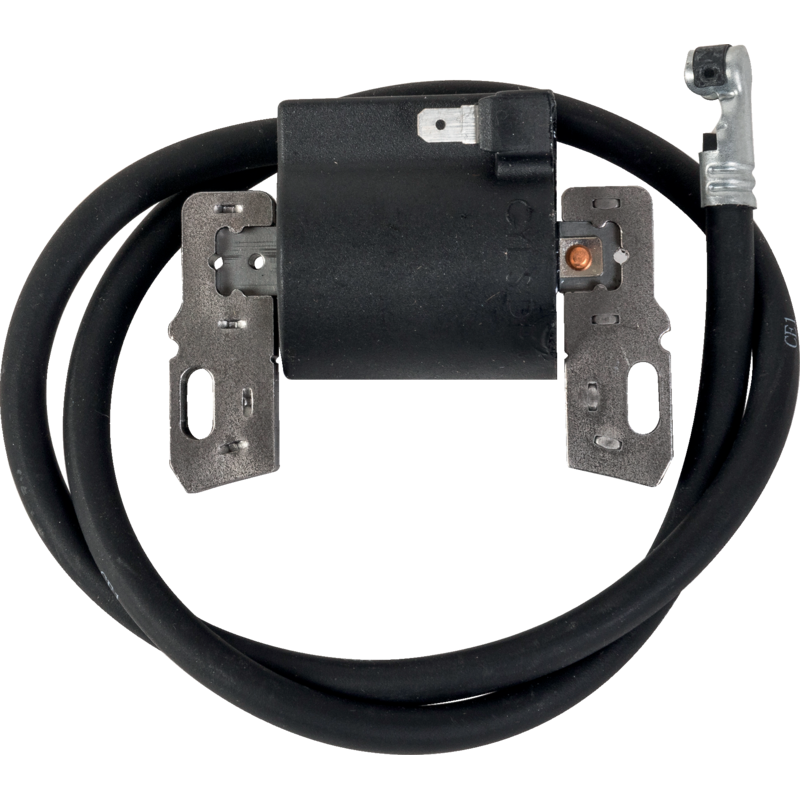 Zündspule Briggs und Stratton 398811 – Original-Ersatzteil für Briggs und Stratton Motoren