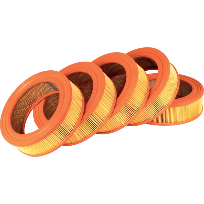 Luftfilter-Set Briggs und Stratton 4232 – Original-Ersatzteil, 5 Stück