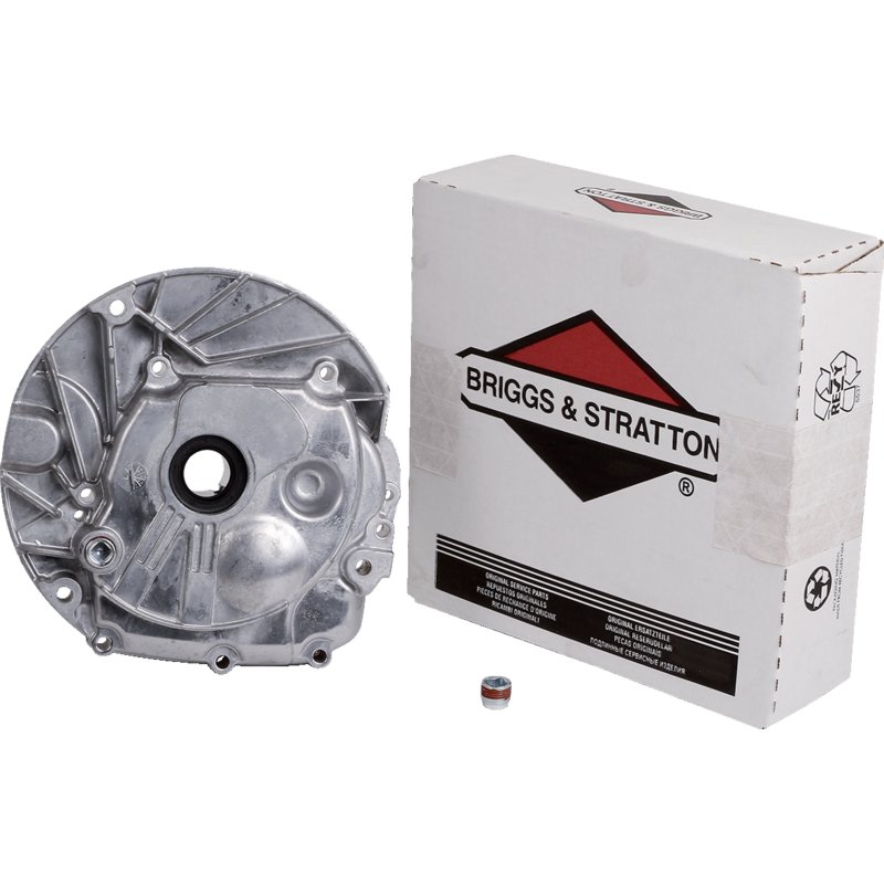 Motorgrundplatte Briggs und Stratton 493279 – Original-Ersatzteil