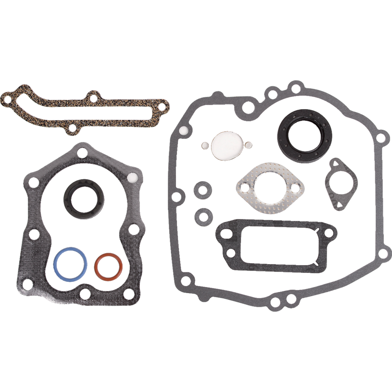 Briggs und Stratton Motordichtsatz 493263 – passend zu Modelle:&nbsp;121802–121887 Briggs und Stratton
