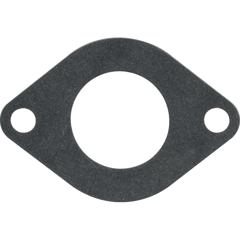 Einlassdichtung Briggs und Stratton 590396 – Original-Ersatzteil für Briggs und Stratton Motoren