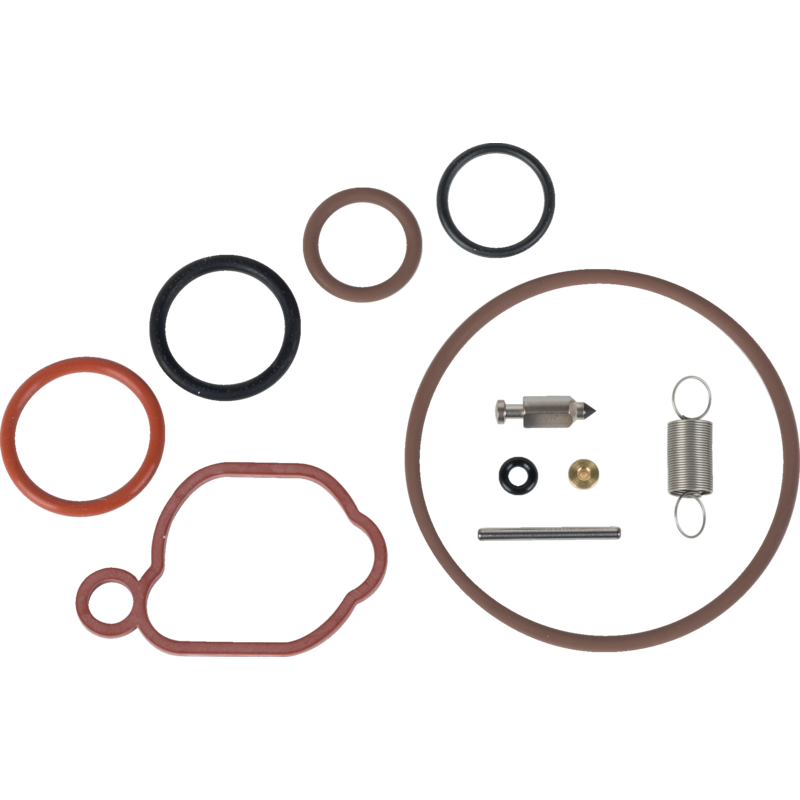 Vergaserreparatursatz Briggs und Stratton 590589 – Original-Ersatzteil