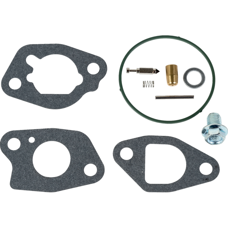 Vergaser-Überholkit Briggs und Stratton 82591770 passend zu Vergaser 595778