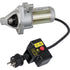 Briggs und Stratton Motor-Starter 230V Briggs und Stratton
