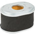 Briggs und Stratton Luftfilter 594146 Briggs und Stratton