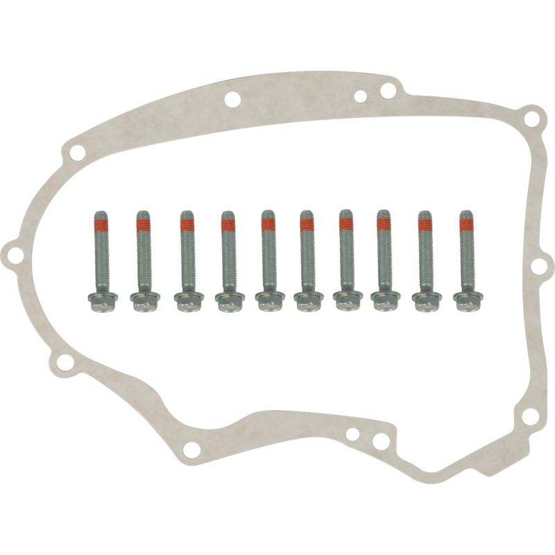 Dichtungssatz Briggs und Stratton 82594195 – Original-Ersatzteil für Motoren