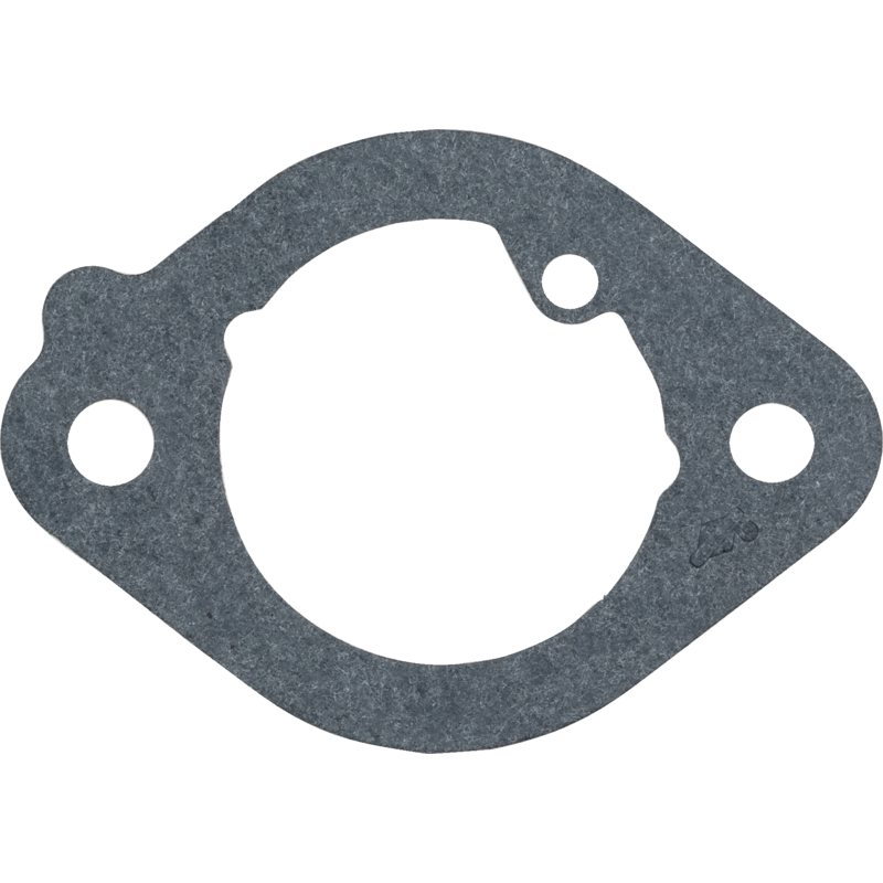 Einlassdichtung Briggs und Stratton 82594203 – Original-Ersatzteil für Motoren