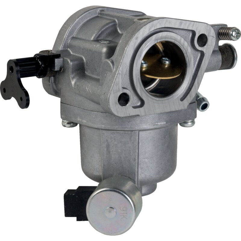 Briggs und Stratton Vergaser Briggs und Stratton