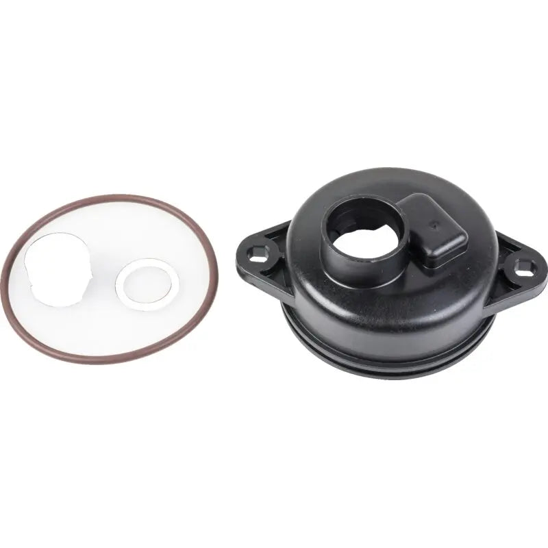 Schwimmerkammer Briggs und Stratton 594632 – Original-Ersatzteil für Motoren