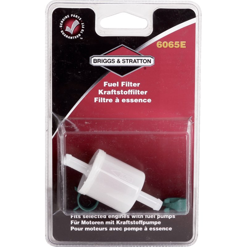 Benzinfilter Briggs und Stratton 6065E – Detailansicht Filtergehäuse