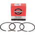 Kolbenringe Briggs und Stratton 696403 – Original-Ersatzteil für Briggs und Stratton Motoren