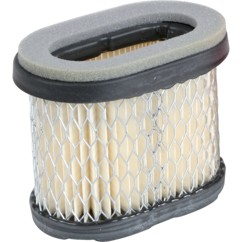 Briggs und Stratton Luftfilter 697029 Briggs und Stratton