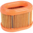 Briggs und Stratton Luftfilter – Nr. 790166 Briggs und Stratton